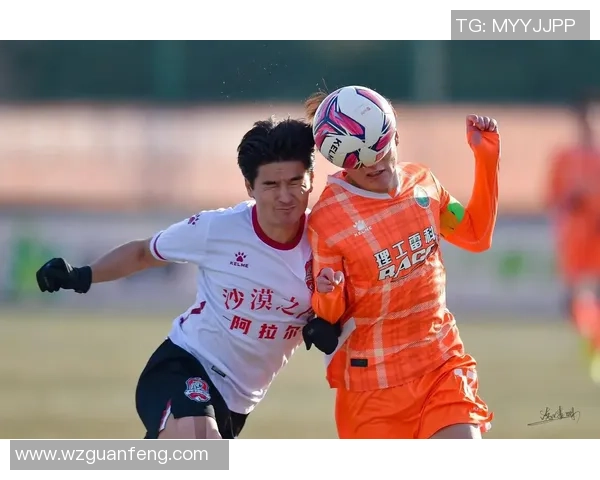 武汉卓尔迎战新疆雪豹争夺中甲积分榜关键战役全力以赴展现球队实力